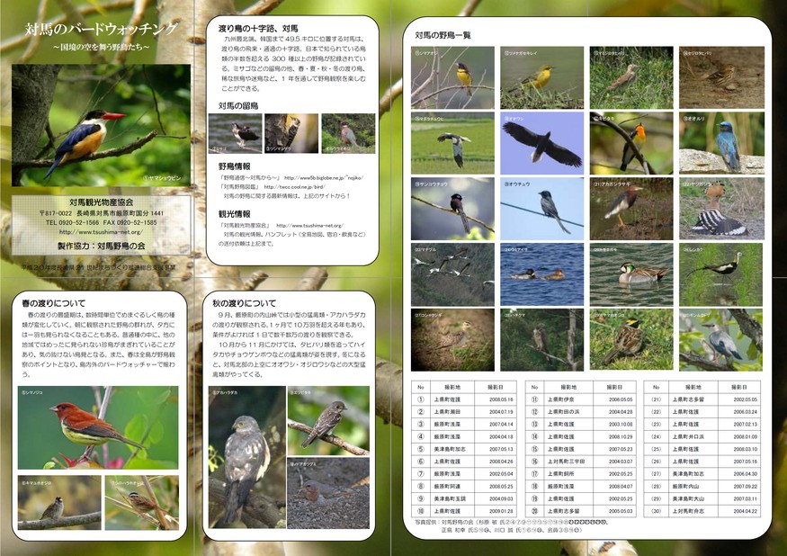 対馬のバードウォッチング