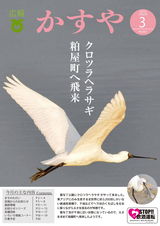 広報かすや 2016年3月号