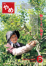 広報やめ 平成28年6月1日号