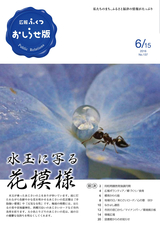 広報ふくつ 2016年6月15日号