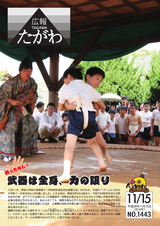 広報たがわ 2016年11月15日号