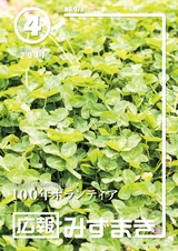 広報みずまき 平成29年4月10日号