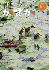 市報かすが 2017年6月1日号