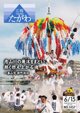 広報たがわ 2017年6月15日号