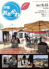 市報おおかわ 平成29年6月15日号