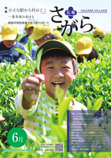 広報さがら 平成29年6月号