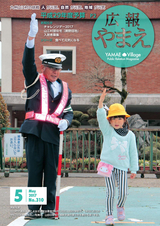 広報やまえ 平成29年5月号