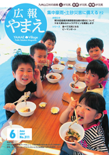 広報やまえ 平成29年6月号
