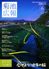 広報きくち 平成29年6月号