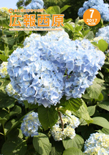 広報西原 2017年7月号