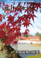 広報けいせん 平成30年12月号